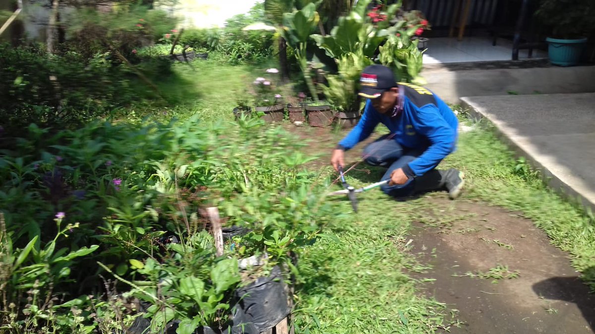 cimincrang1's tweet photo. Giat Tim Gober Bebersih dan Babad Rumput di Halaman Kantor Kelurahan Cimincrang Ok @pembdg @HumasBdg @DiskominfoBdg @KecGedebage @PujiRah13244388 
Selasa, 26 Februari 2019 https://t.co/BDwUIB7yXk