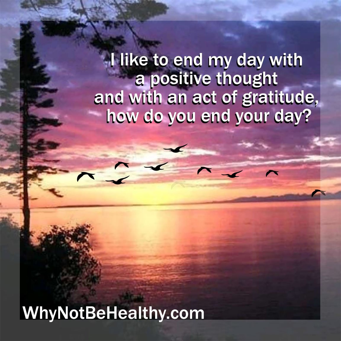 couldwork's tweet photo. I like to end my day with a positive thought and with an act of gratitude, how do you end your day? https://t.co/RDi3RttpW4