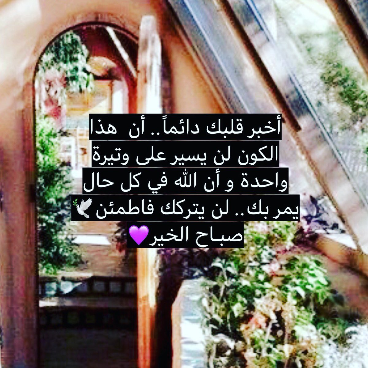 NoufAlbarodi's tweet photo. #صباح_الخيرِ https://t.co/8nQQWxeCiZ