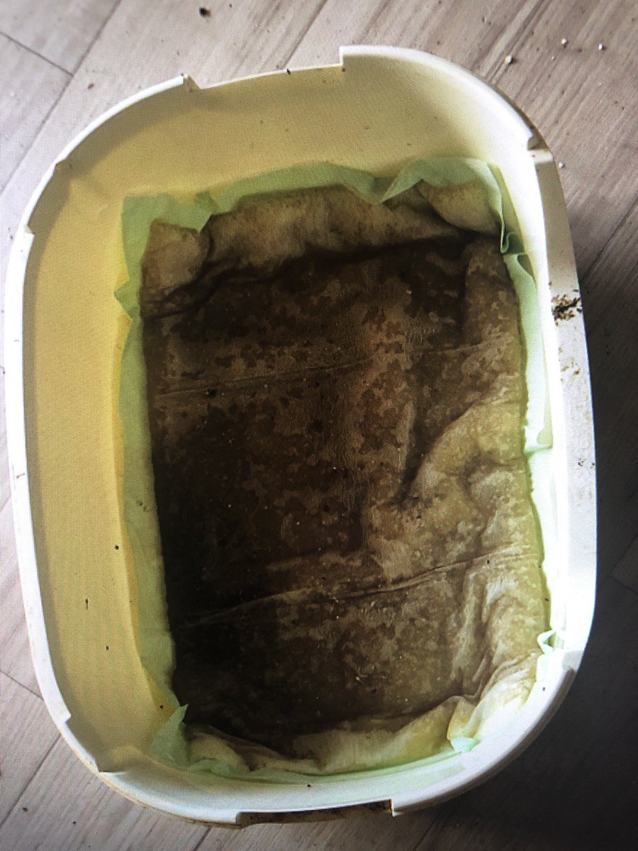 マメ k 砂なしシステムトイレ 1個じゃなくて全部砂なし 掃除して綺麗にした翌日見たらまた砂なし 福猫舎 マメ k 砂なしシステムトイレ 1個じゃなくて全部砂なし 掃除して綺麗にした翌日見たらまた砂なし 福猫舎