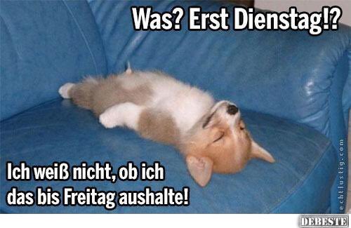 kirbyone79's tweet photo. Schönen Dienstag euch 🥳💫😘 https://t.co/fdr4GuoDmI