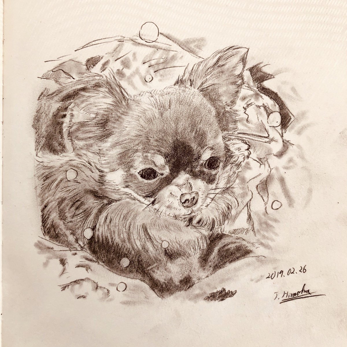 ট ইট র 絵かきのヒロ 今日のお絵描き 今回はワンちゃんを鉛筆で描いたよ 近所の常連のカフェの看板犬 チョコ 癒し系です 今日のお絵描き 犬 看板犬 鉛筆イラスト ট ইট র 絵かきのヒロ 今日のお絵描き 今回はワンちゃんを鉛筆で描いたよ 近所の常連のカフェの看板犬 チョコ 癒し系です 今日のお絵描き 犬 看板犬 鉛筆イラスト