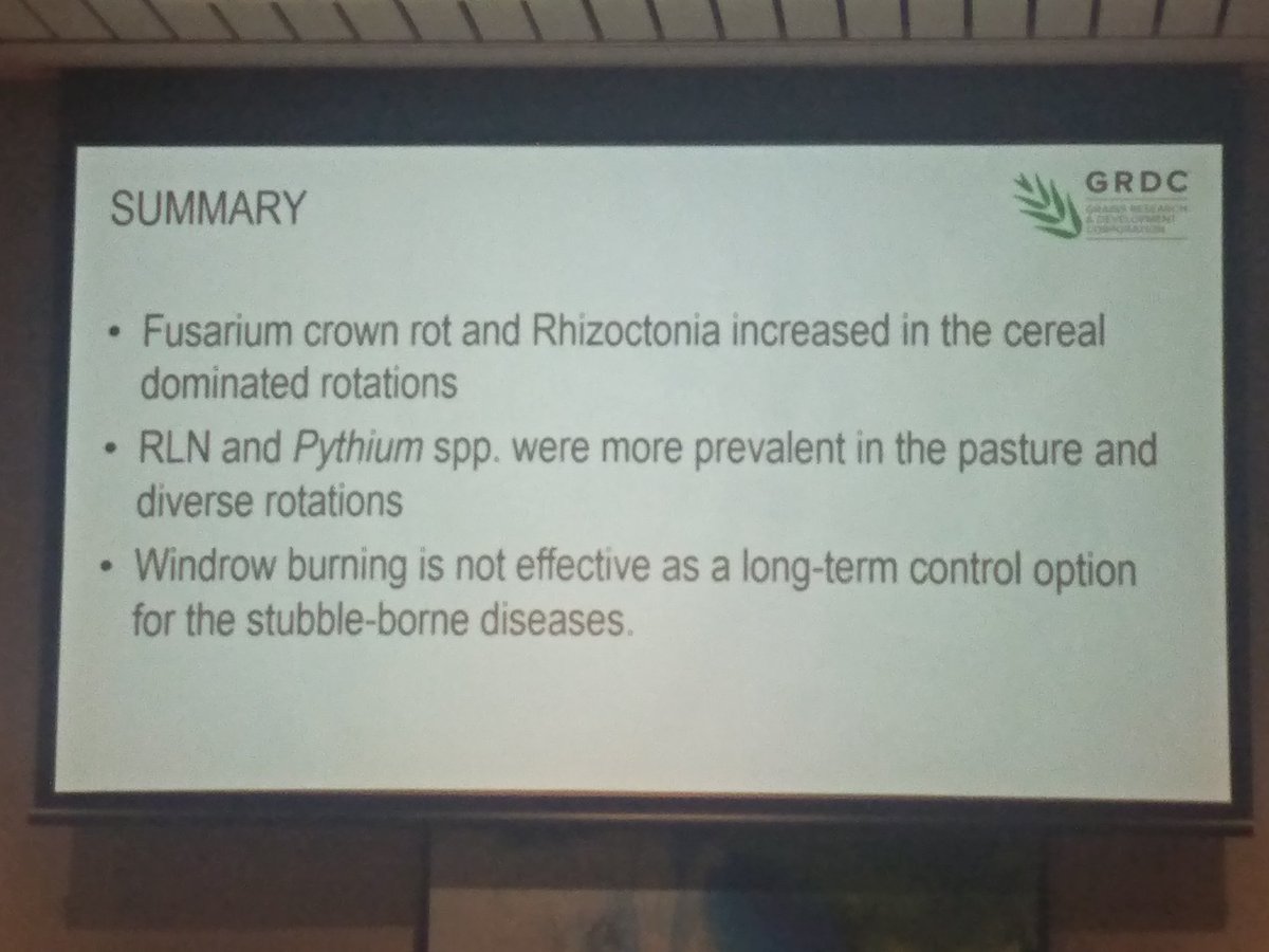 KylieRChambers's tweet photo. Ken Flower from UWA looking at the effect of crop rotations on disease
- Window burning had little effect on soilborne diseases in the long term. 
- Crown rot and rhizo ⬆ in cereal rotations while RLN and pythium ⬆ prevalence in pasture and diverse rotations 
#GRDCUpdates https://t.co/zvCA5x9IQW