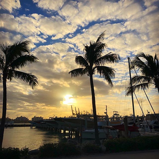 sharibayer's tweet photo. As the sun sets... #miamibeachstyle #sunset #boats #marina #cloudformation #palmtrees #southpointepark #sobe #sobewff #latergram 🌅🚤🌴🌤 ✨ https://t.co/1LD4ylyWN4 https://t.co/QNgFTD7CGS