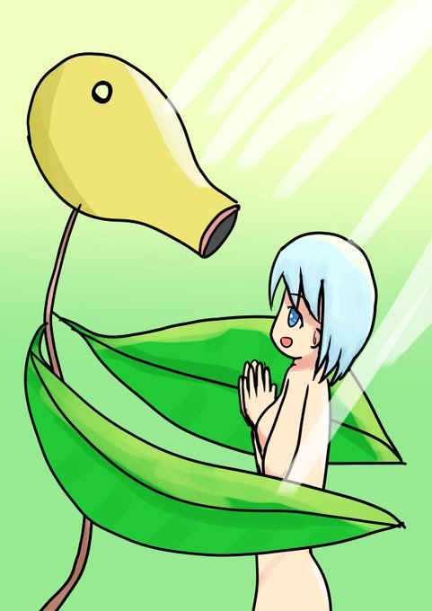 「マダツボミ」の画像検索結果