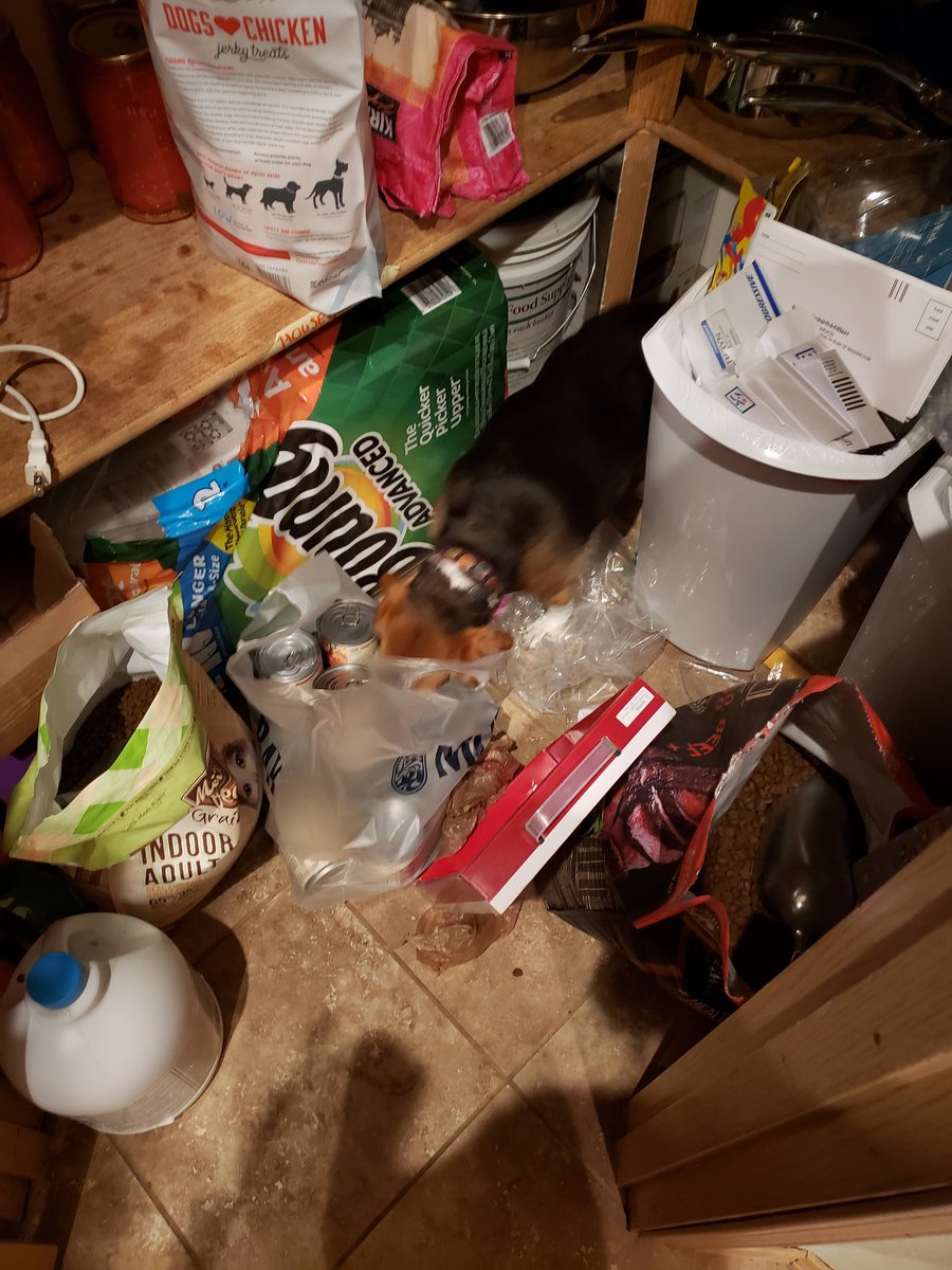 Daffy Beckley (@beckleydaffy) on Twitter photo 