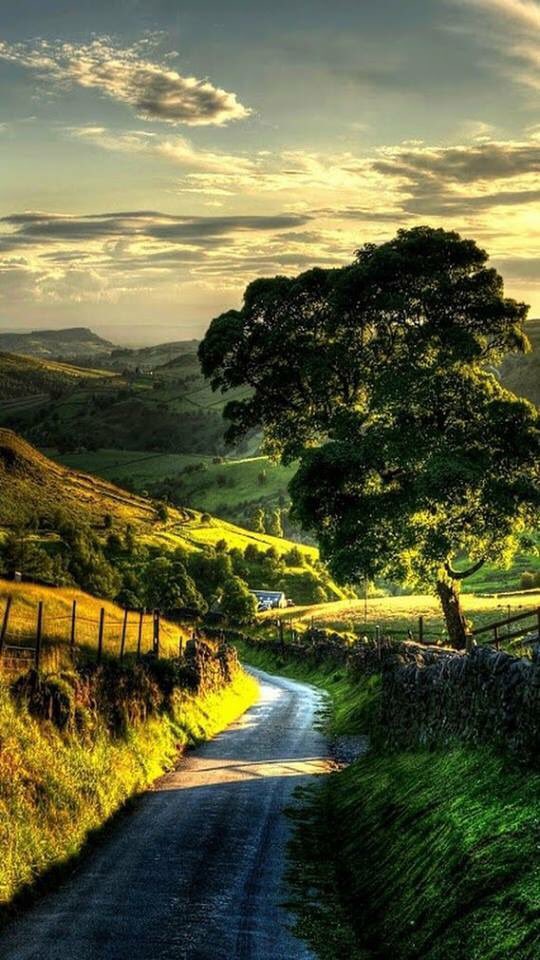 KidsPoet's tweet photo. True contemplation lessens the falsity of indecision and the burden of inaction" Quotable Quotes by Ricky J. Fico https://t.co/u6n10wMRdo