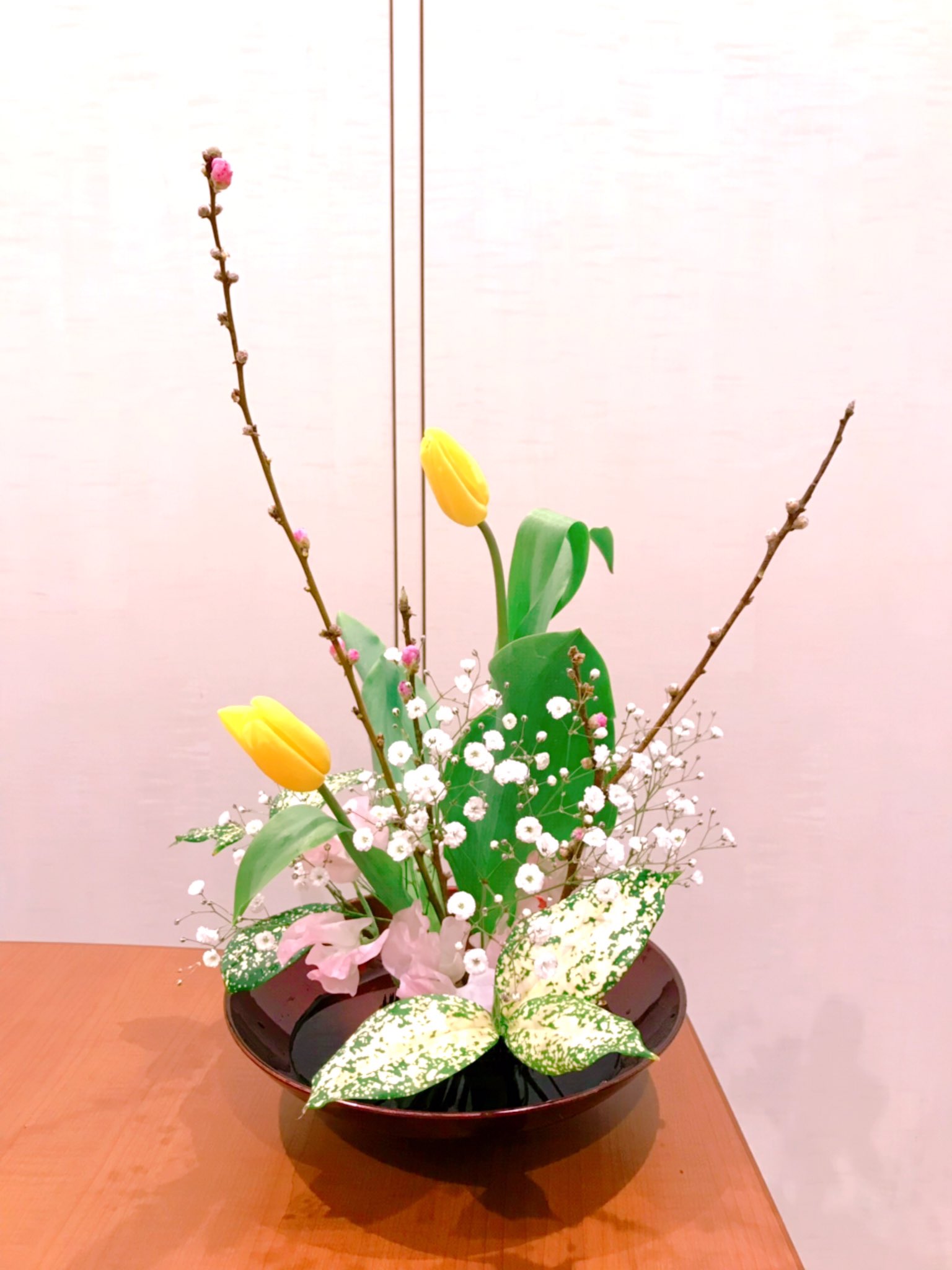 肉野ハラ美 2月のいけばな いけばな 生け花 池坊 自由花 華道 Ikebana Ikenobo Flower 花 チューリップ 桃 桃の花 スイートピー かすみ草 カスミソウ ゴット ゴッド ゴットセフィアナ ゴッドセフィアナ 突然のいけばな T