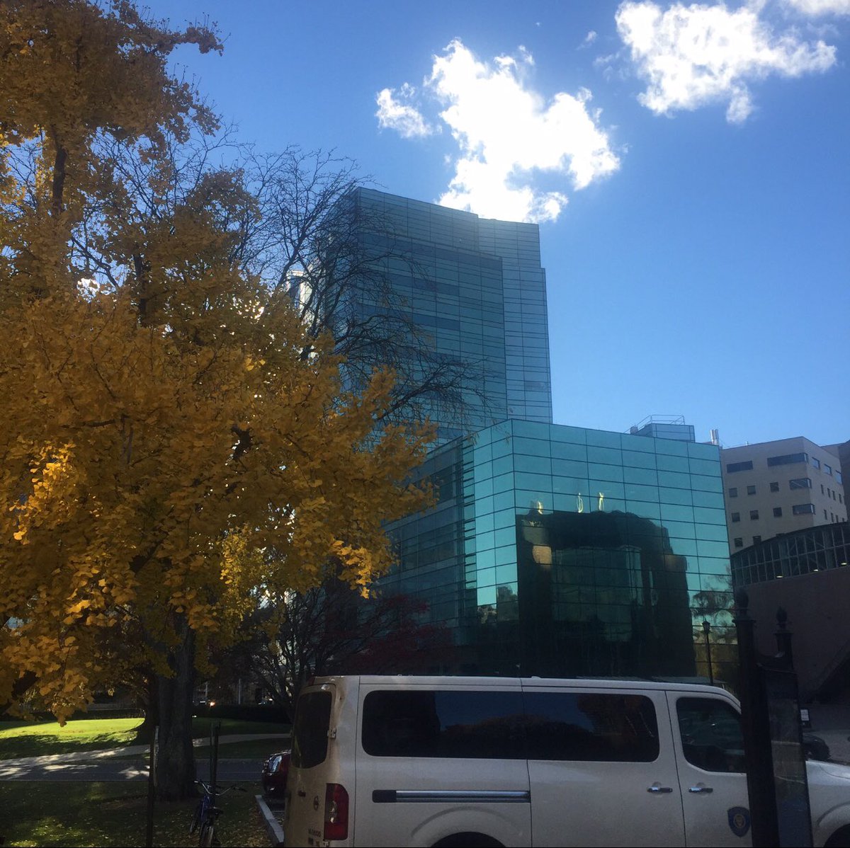 My favorite scenic spot on campus! In the fall, the leaves outside the cardinal Cushing library turnna beautiful orange more than worthy of a photo #ECmultimedia