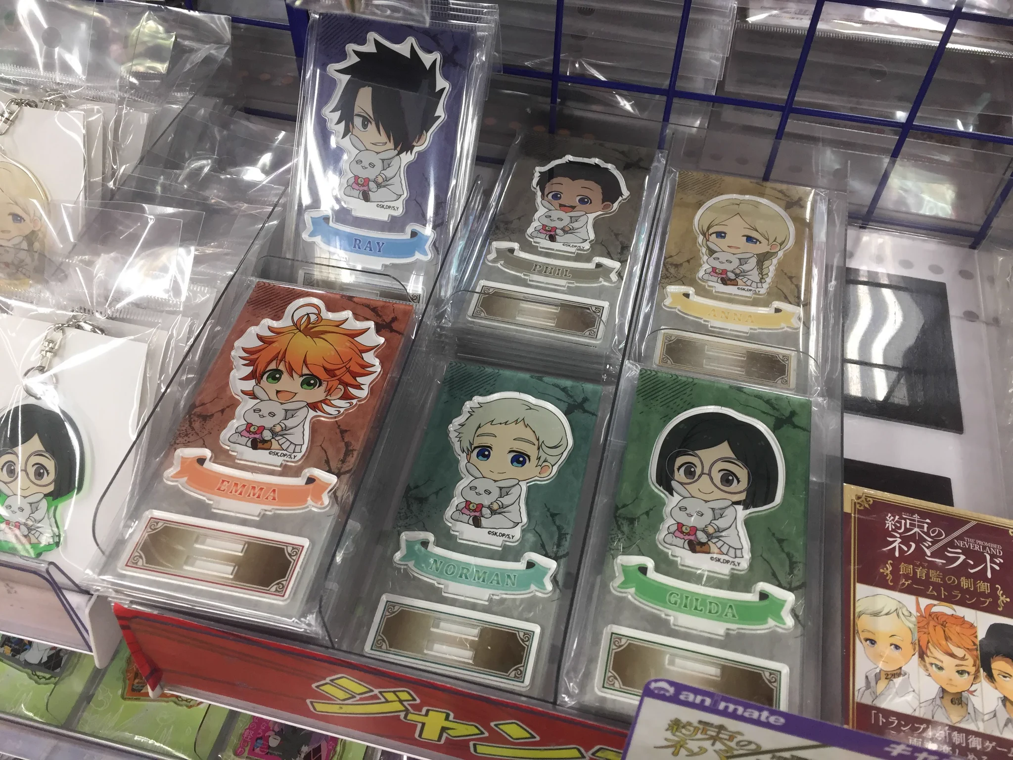 アニメイト池袋本店 on X: 