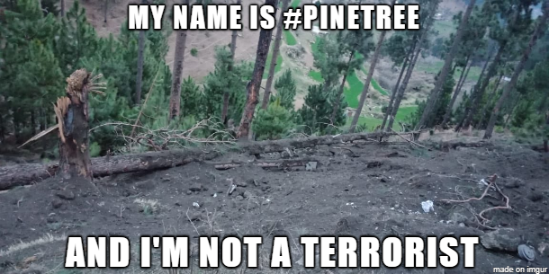 pakistanprobe's tweet photo. @OfficialDGISPR My Name Is #PinTree and I'm Not A Terrorist https://t.co/nK2OZz1M5o