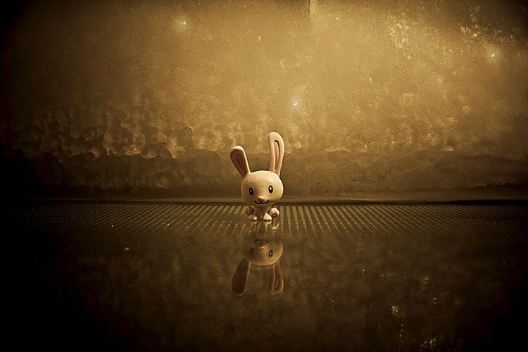 Screen Education tweet media