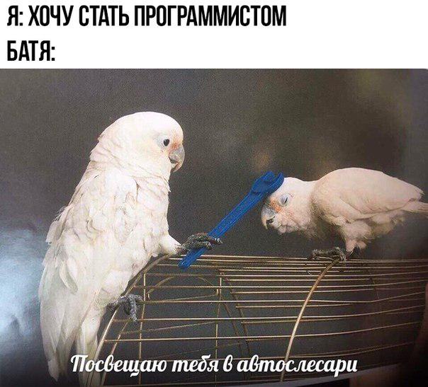 D0U-IMzXcAAUaoO.jpg:large