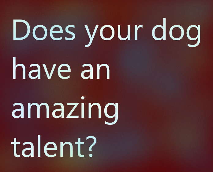 Alex Black (1061ChezAlex) Twitter