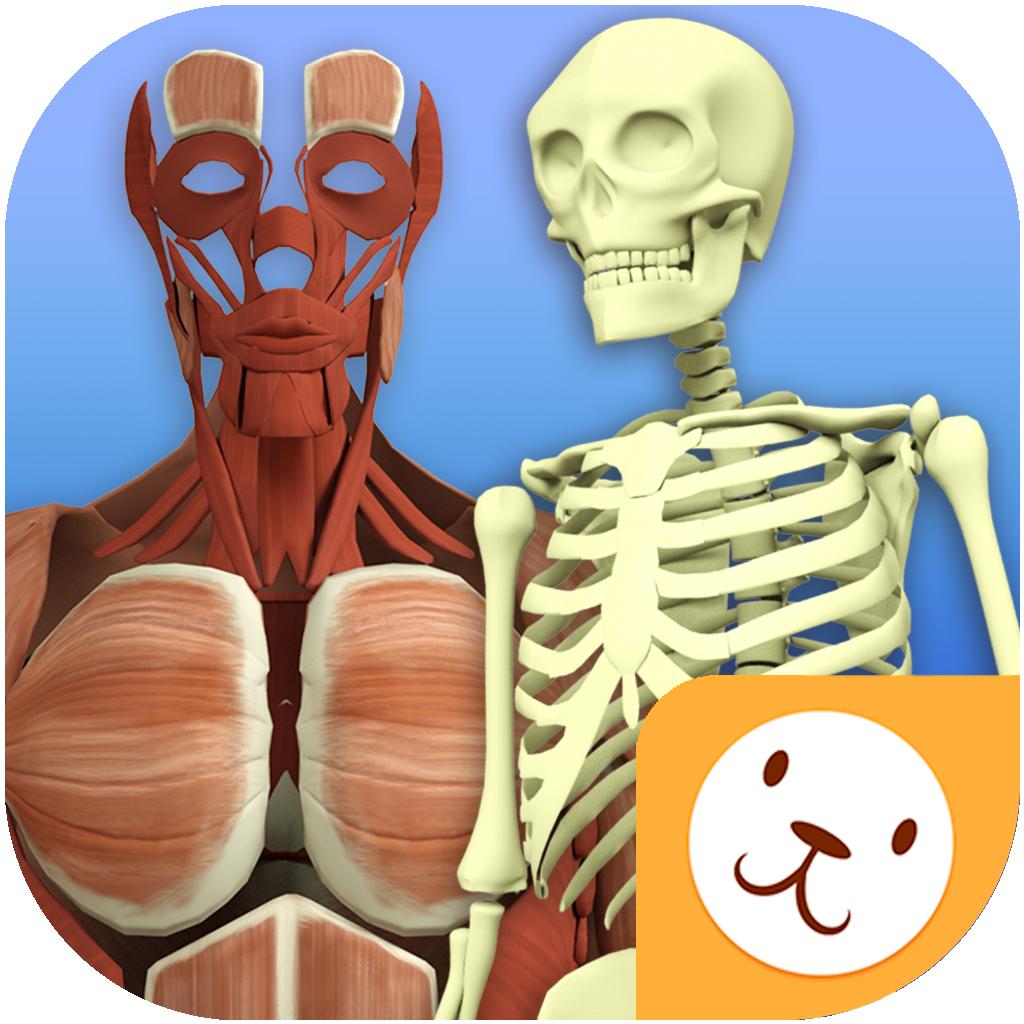 smileandlearnUS's tweet image. We all know it’s what’s on the inside that counts. If only there was a way to see underneath the biggest human organ. *cough* bit.ly/2Ior7V0 *cough*
#Anatomy #BodilySystems #InteractiveAtlas #Organs #Health #Wellness