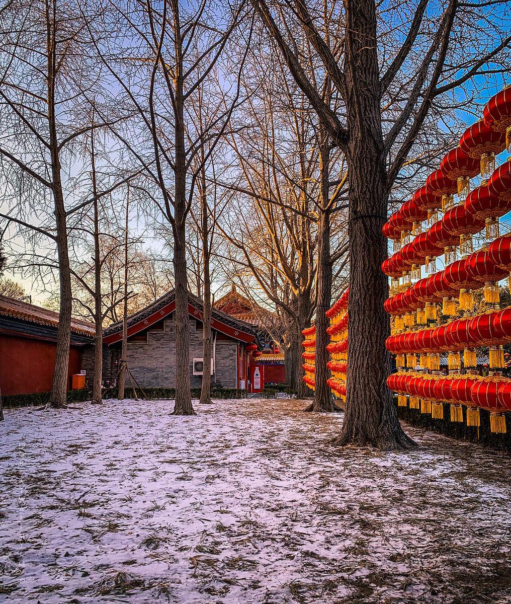 VisitBeijingcn's tweet photo. March is finally approaching with temperature ranging from -2° C ~ 12° C ! The lingering of Beijing Winter become so precious to catch, and we surely are torn between the desire of seeing snow and the first flower bloom! #WeatherInBeijing
📸 credits: @greatwallmylove https://t.co/ALf9xjrkLX