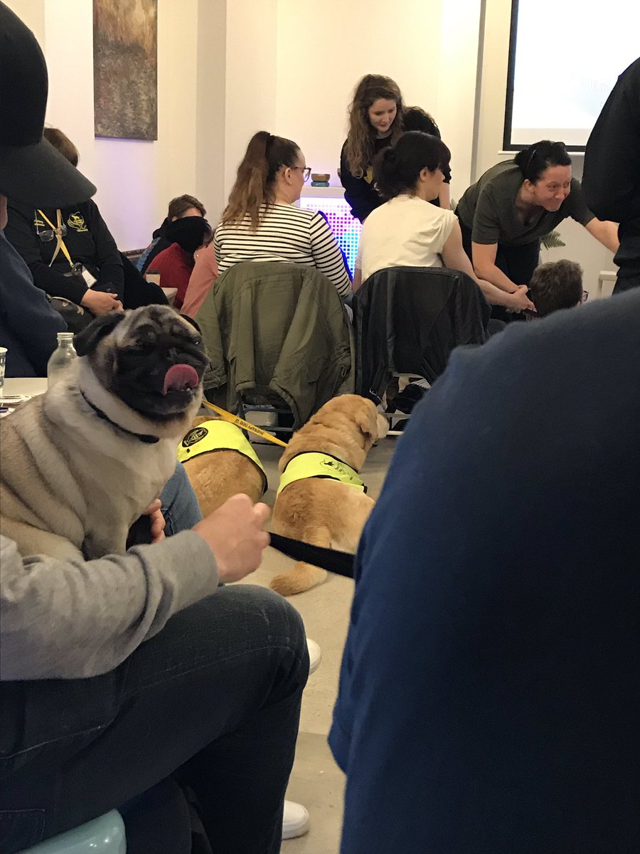Raising mental health awareness at the dog cafe, 24 February
