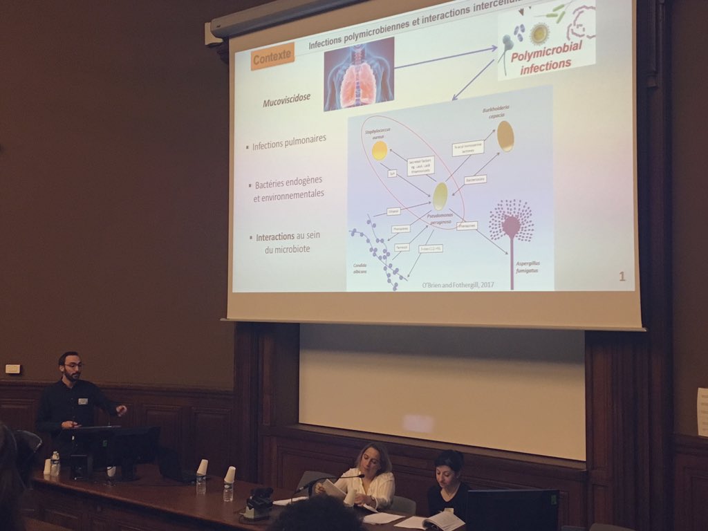 vaincrelamuco's tweet photo. [#CFJC2019] 🔎 Le projet de Quentin MENETRY @umontpellier @CHU_Montpellier vise à rechercher les interactions entre souches de différentes espèces bactériennes colonisant les voies respiratoires https://t.co/jzYaPD9WHT
