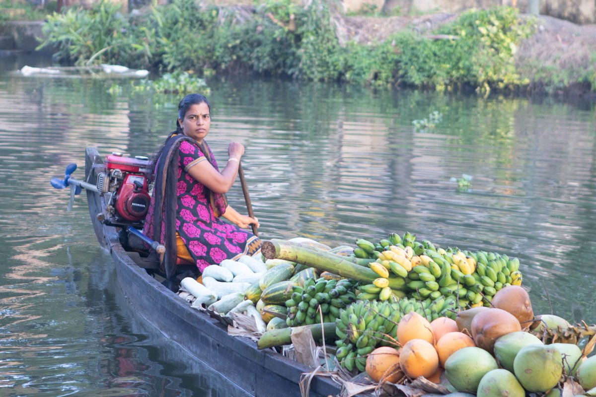 KeralaTourism's tweet photo. And you thought a canoe ride would be all about lush foliage and breathtaking sunsets? It's much more: it lets you in on the distinct routines of a sleepy yet fascinating backwater village. Fancy a tender coconut, anyone? #HumanByNature https://t.co/pcYJU6mOv5