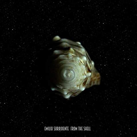 EmilioSorrident's tweet photo. #FromTheShell was released today in 2016. It was a great ride and we're now looking for something new. Stay tuned! #R_Evolution #ThePinkShell @SpinosaNico @RosManica @RNCmusic #IrregularForever https://t.co/gg9bkExOo9