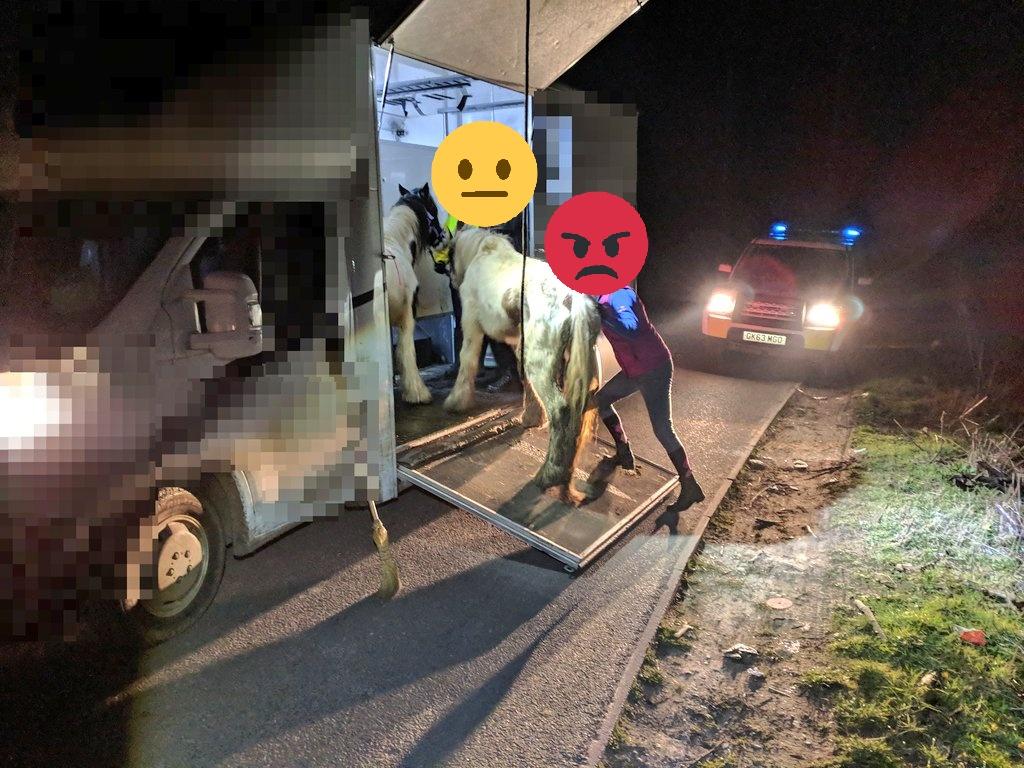 KentPoliceRural's tweet photo. Working alongside @RSPCA_official Officer from our West team seized 3 horses yesterday in #Ash under Animal Welfare Legislation. An RSPCA led investigation will now take place with assistance from the Team NL #WildlifeCrime #itsNotAcceptable #CareForYourAnimals https://t.co/Za2nXmSAnv