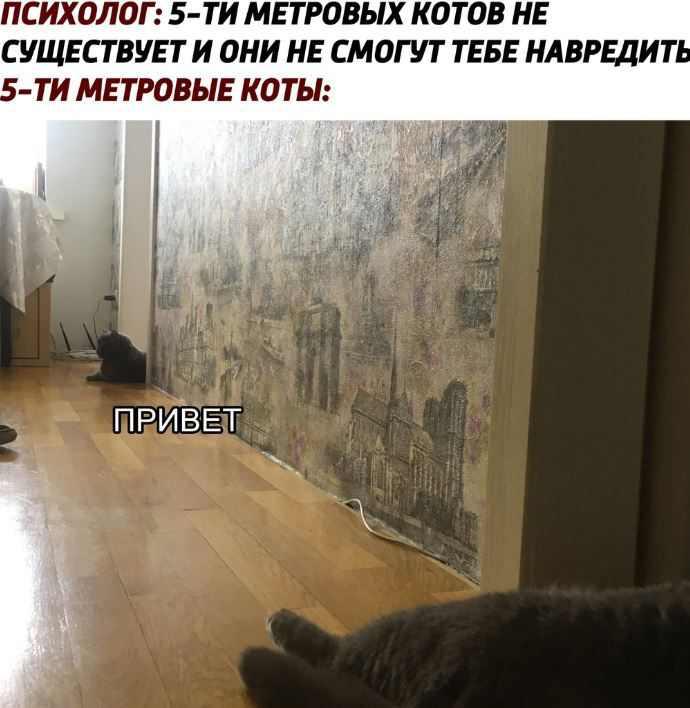 Russian Memes United tweet media