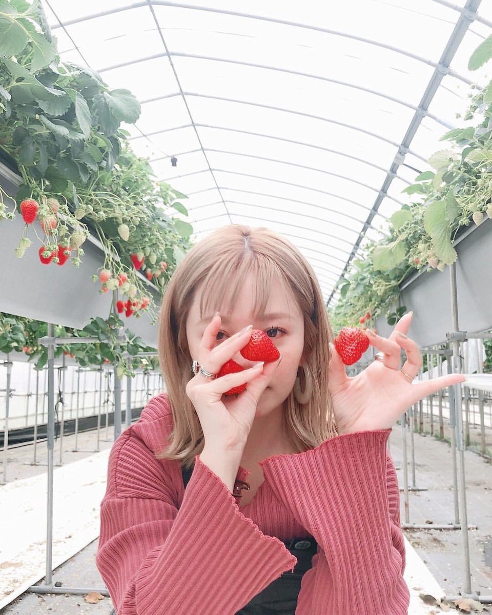 高山直子 Twitter Search