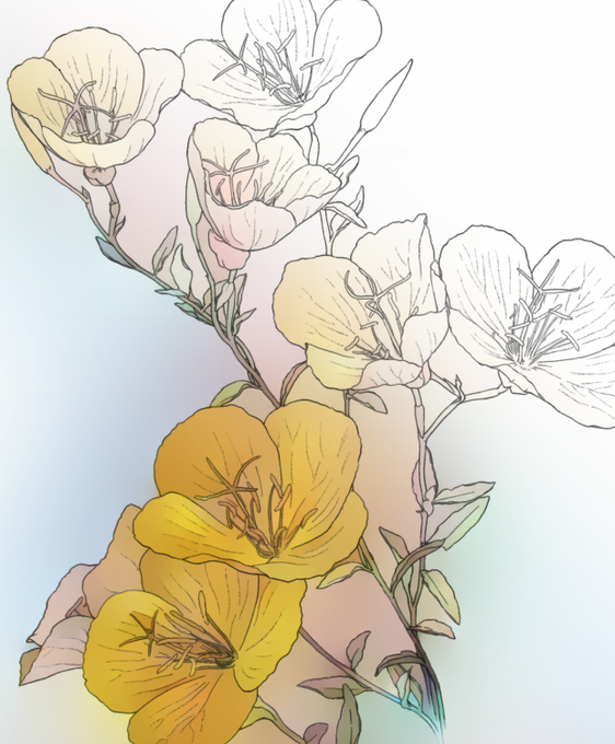 月見草のtwitterイラスト検索結果 古い順 月見草のtwitterイラスト検索結果 古い順