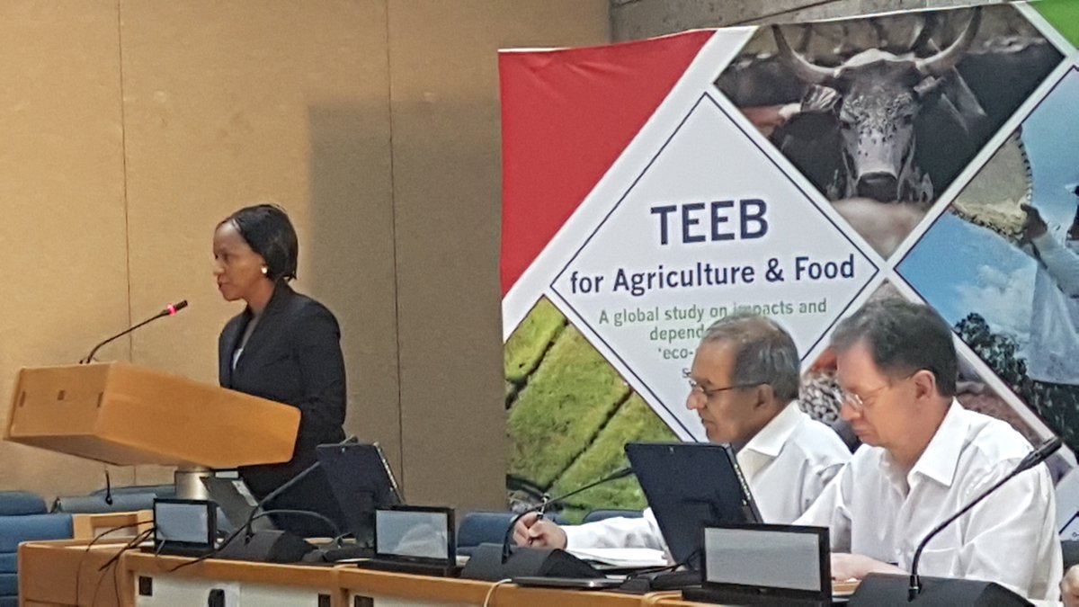 <a href="/PavanSukhdev/">Pavan Sukhdev</a> on the role of the TEEBAgriFood Evaluation Framework in contributing to a new more holistic, multi-dimensional, systems-thinking paradigm, and its linkages to global processes #2030Agenda #Post2020BiodiversityFramework