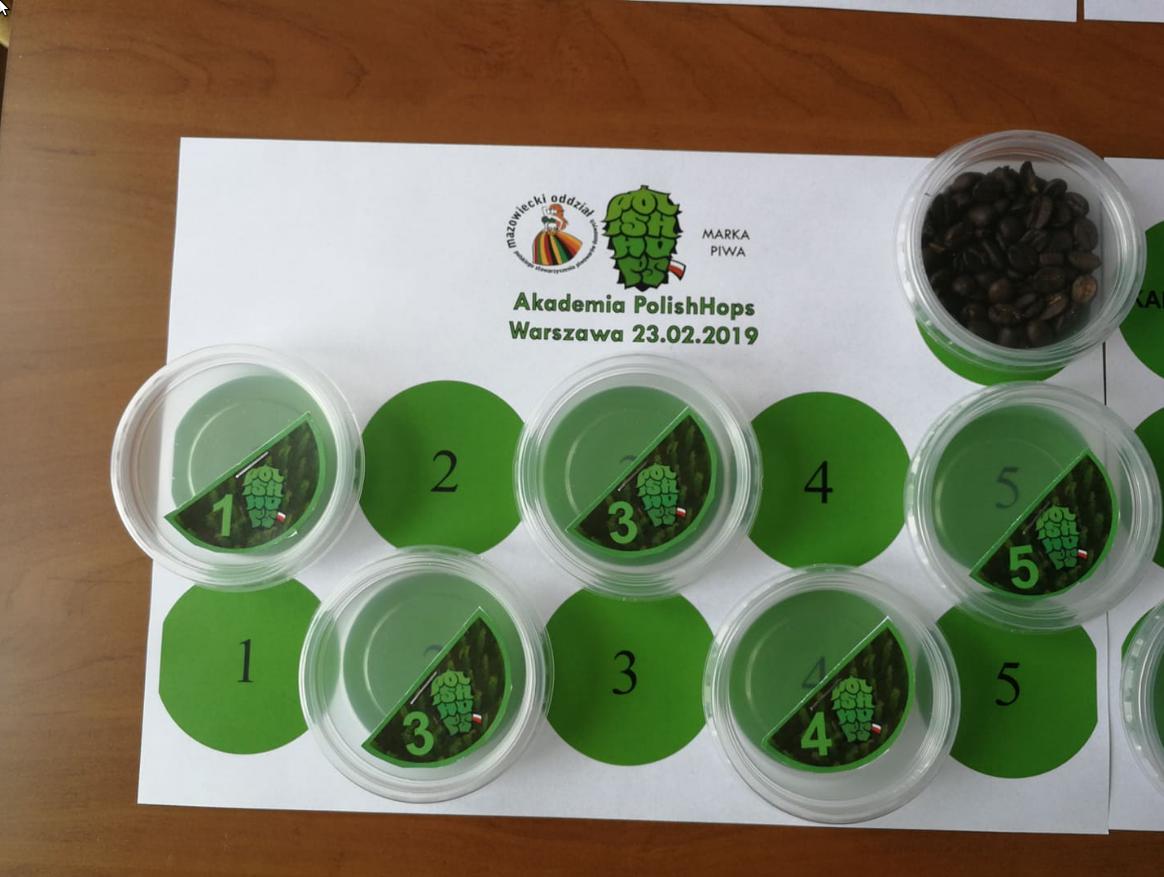 Hop sensory traning using Polish hops.