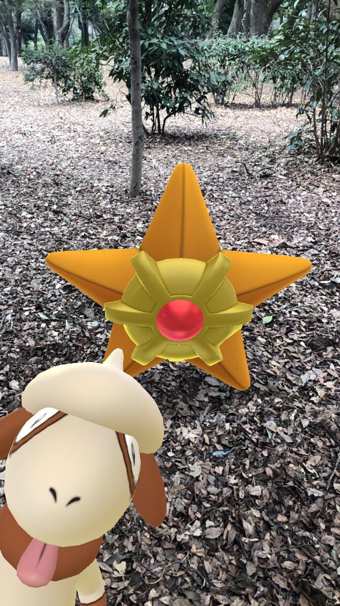 ポケモンgo攻略 Gamewith ドーブルには色んなポーズがあるみたいです 皆さんのドーブルのポーズも画像つきで教えてください W 頂いた画像は記事で使わせて頂くこともありますので ご了承くださいm M ポケモンgo Twitter