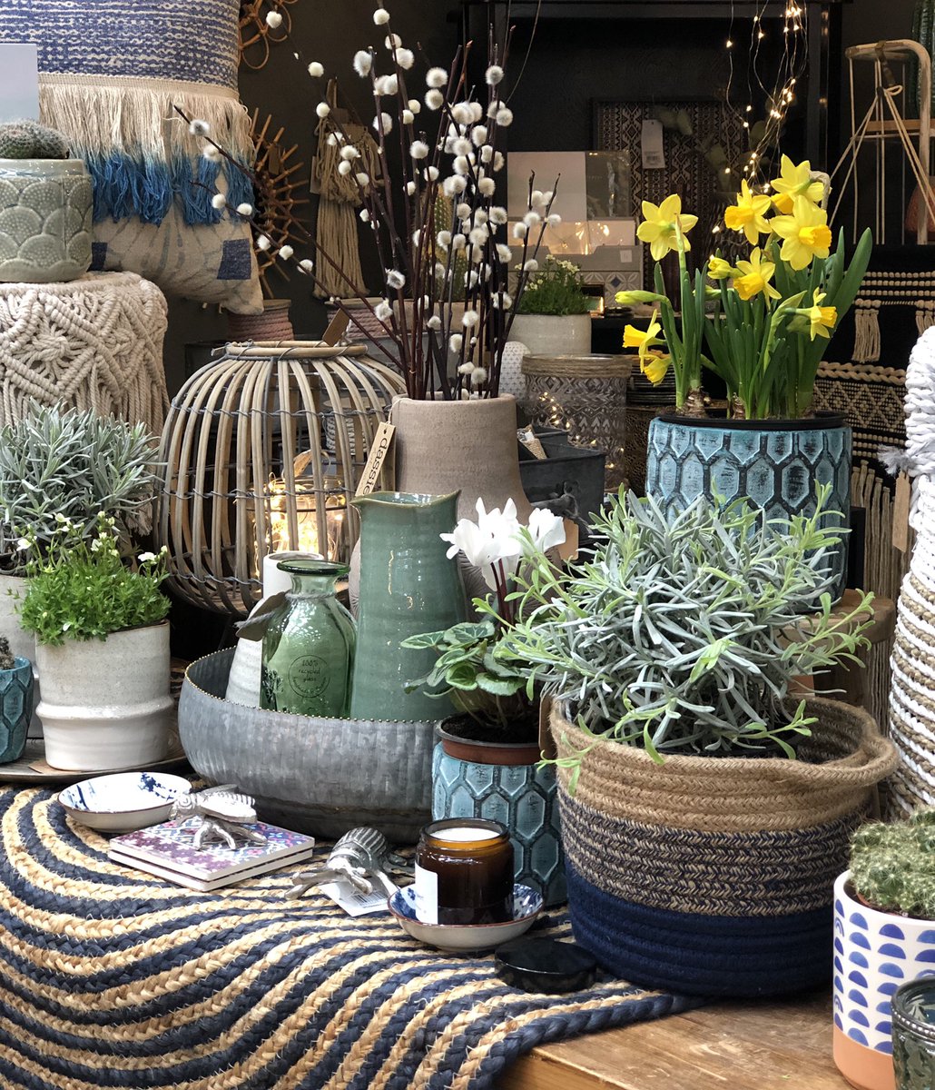 MISTILLEY2's tweet photo. Happy Tuesday folks  🌿 ☺️
we are open 9-4pm today @markethallshrew come and see us x https://t.co/FSlBsAWbeQ