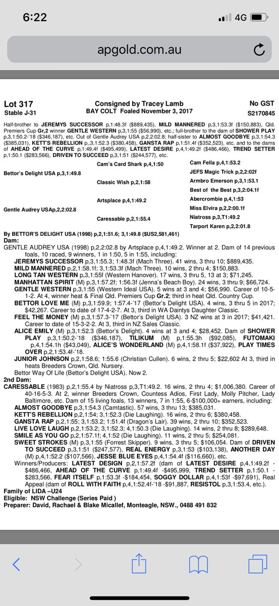 dallas harvey (@mango8477) on Twitter photo <a href="/WoodlandsStudNZ/">Woodlands Stud NZ</a> @JohnDghost <a href="/lukeamccarthy/">Luke Mccarthy</a> <a href="/unclechoppa/">Paul Bielby</a> <a href="/atworthy1/">Stephen Johnson</a> @KT_2109 <a href="/ga_elson/">gary Elson</a> <a href="/tracylamb_/">Tracy Lamb</a> <a href="/sooty173/">Stephen Hunt</a> <a href="/Tritton_Team/">TEAM TRITTON</a> @TimButtRacing <a href="/WoodlandsStudNZ/">Woodlands Stud NZ</a> @JohnDghost <a href="/lukeamccarthy/">Luke Mccarthy</a> <a href="/unclechoppa/">Paul Bielby</a> <a href="/atworthy1/">Stephen Johnson</a> @KT_2109 <a href="/ga_elson/">gary Elson</a> <a href="/tracylamb_/">Tracy Lamb</a> <a href="/sooty173/">Stephen Hunt</a> <a href="/Tritton_Team/">TEAM TRITTON</a> @TimButtRacing