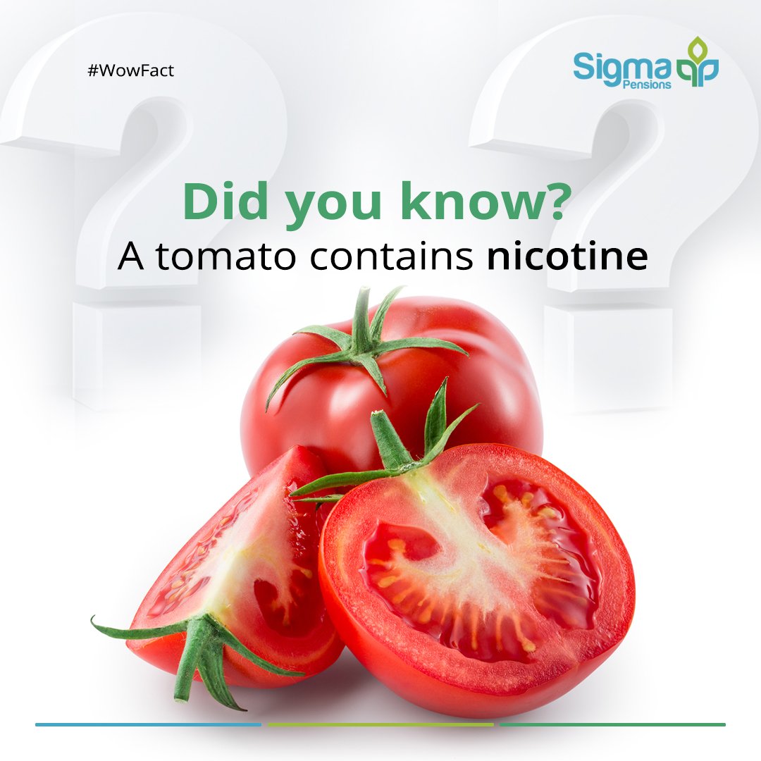 Do Tomatoes Have Nicotine?