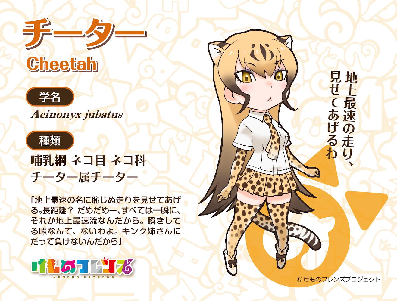 けものフレンズ もりのおんがくかい ピンバッジ コンプリート けものフレンズ もりのおんがくかい ピンバッジ コンプリート