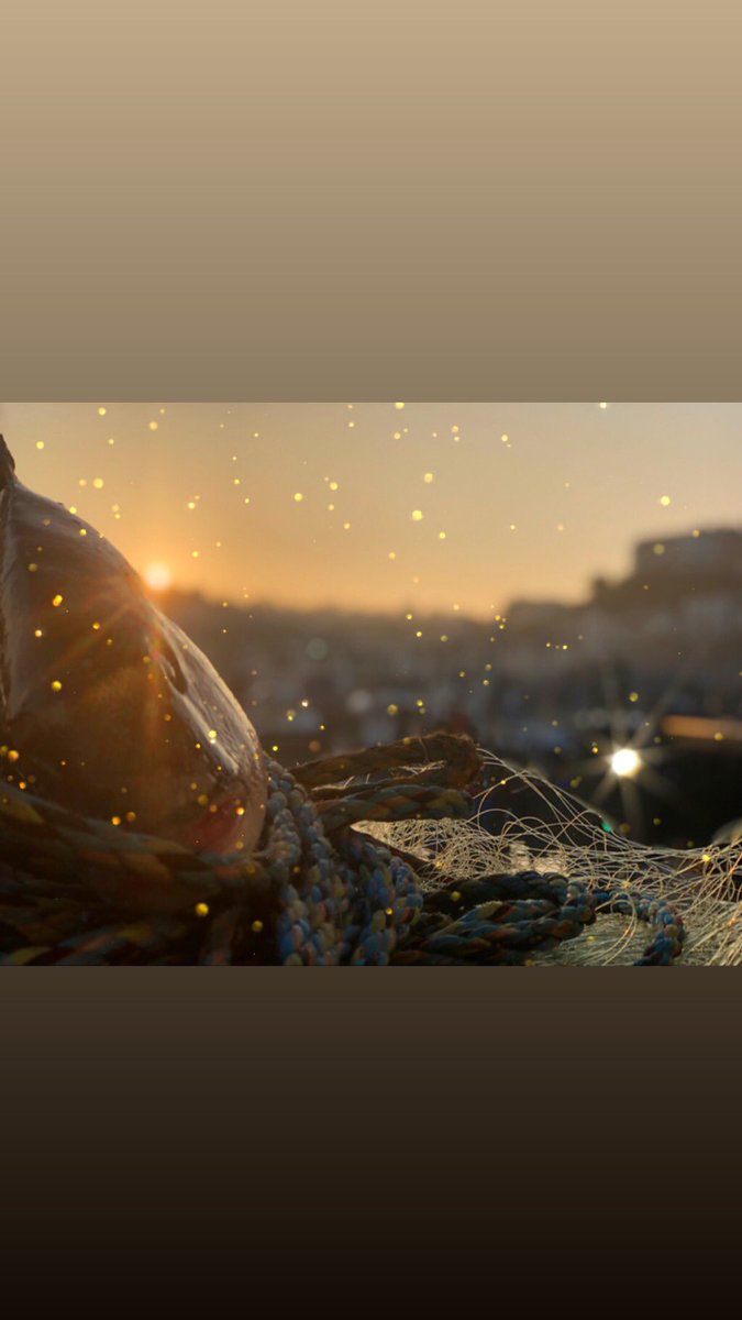 Royal Bream 🙌🏻