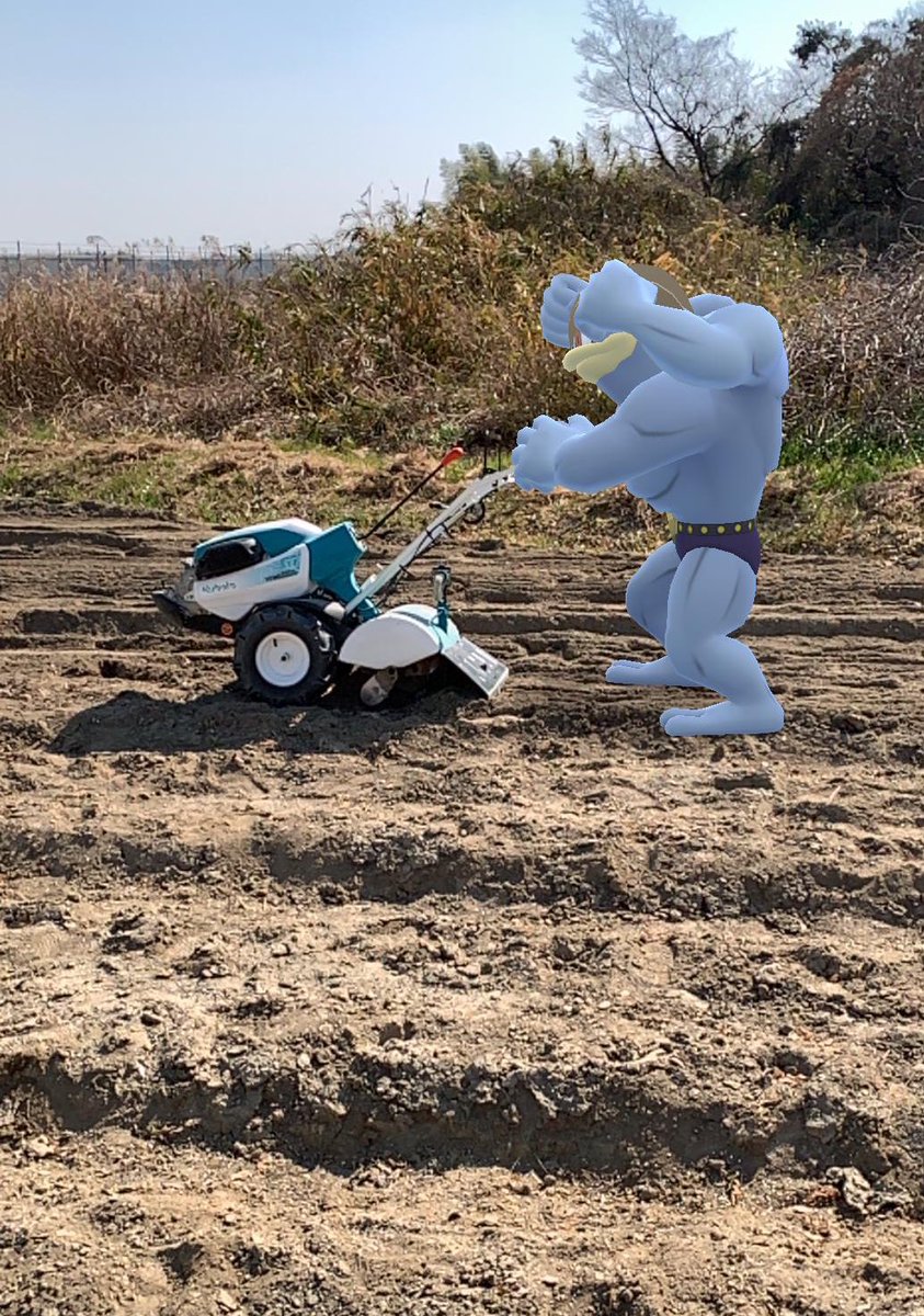 donsuke3non's tweet photo. #GameWithARフォトコンテスト
 #GOsnapshot 

「今日もお願いね」 https://t.co/GhIebrKXVr