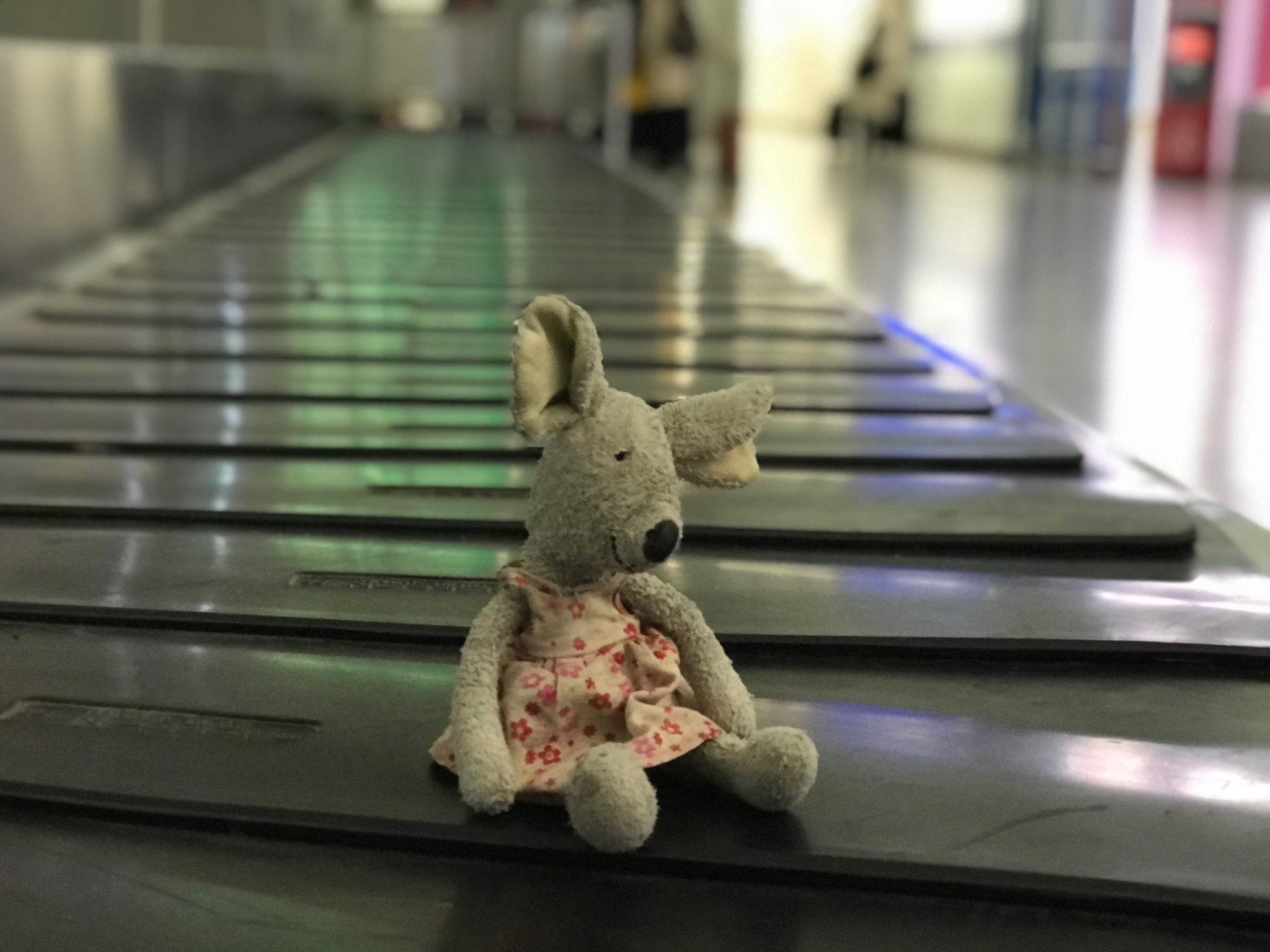 lost property stansted