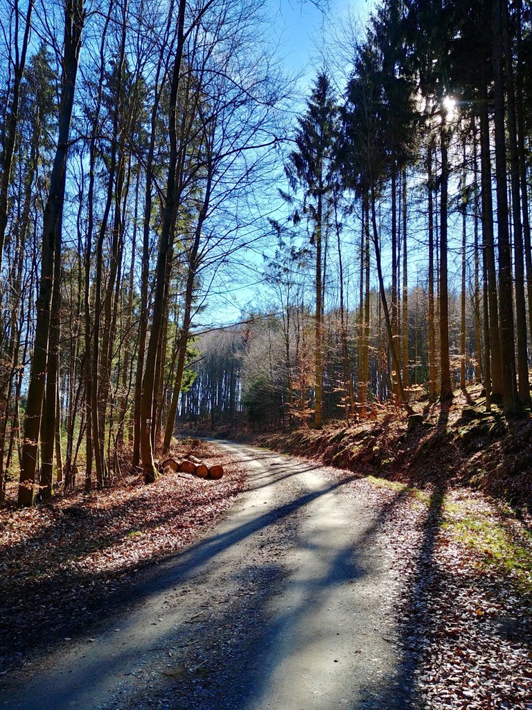 gormdearg's tweet photo. Der Punkt, an dem man den Treibsand der alltäglichen Belanglosigkeiten hinter sich lässt. https://t.co/MoSE8YV4rW