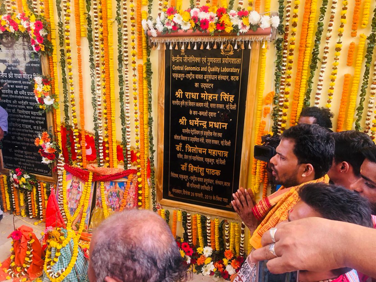 RadhamohanBJP's tweet photo. Inaugurated the Central Genomics and Quality Laboratory facility at ICAR - National Rice Research Institute (#NRRI) in Cuttack and addressed farmers at the #KisanMela with Shri @dpradhanbjp ji, Union Minister of Petroleum and Natural Gas. https://t.co/5Dsayss4ip