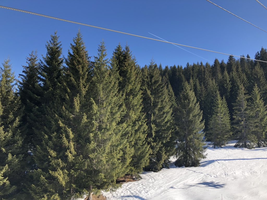 NicolaWilding77's tweet photo. Great day yesterday and many funny moments 😂😂 #nickyneedsahand #paratriathlete #fitfam #fitfamuk #skiing🎿 #alpineelements https://t.co/s3XpJfcPbk