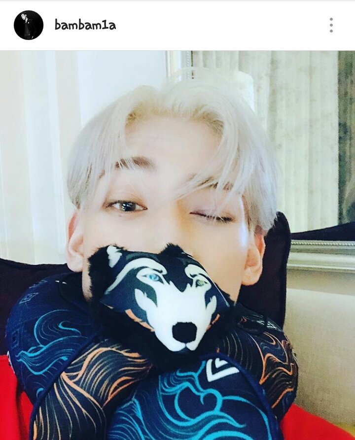 ATangchit's tweet photo. หมอนรุ่นใหม่ #Restier เหมือนลูกมู๋ #bambam เลย🐷 อู๊ดอี๊ดน่ารัก❤ @BamBam1A https://t.co/XS6b8avbxv