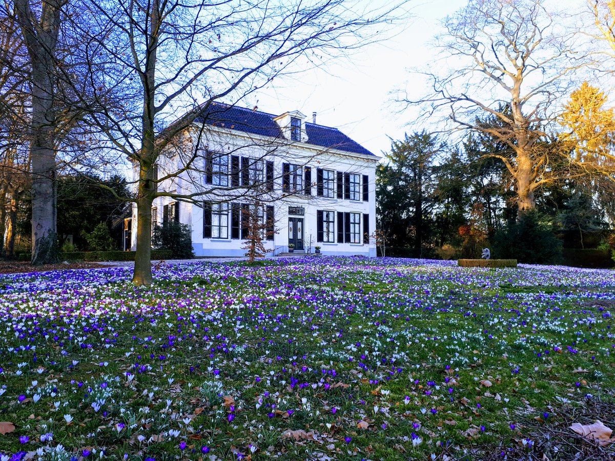 De lente lijkt nu echt begonnen......