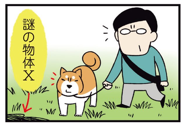 コミックエッセイ劇場 على تويتر 鳴き声は あわわわわわ 決め顔は ドヤ顔にやり おバカな個性派柴犬 どんぐりと翻弄されっぱなしの著者 ひまが繰り広げる攻防戦 第28話が更新 父のやらかし T Co Qfvr7x5kvlコミ劇