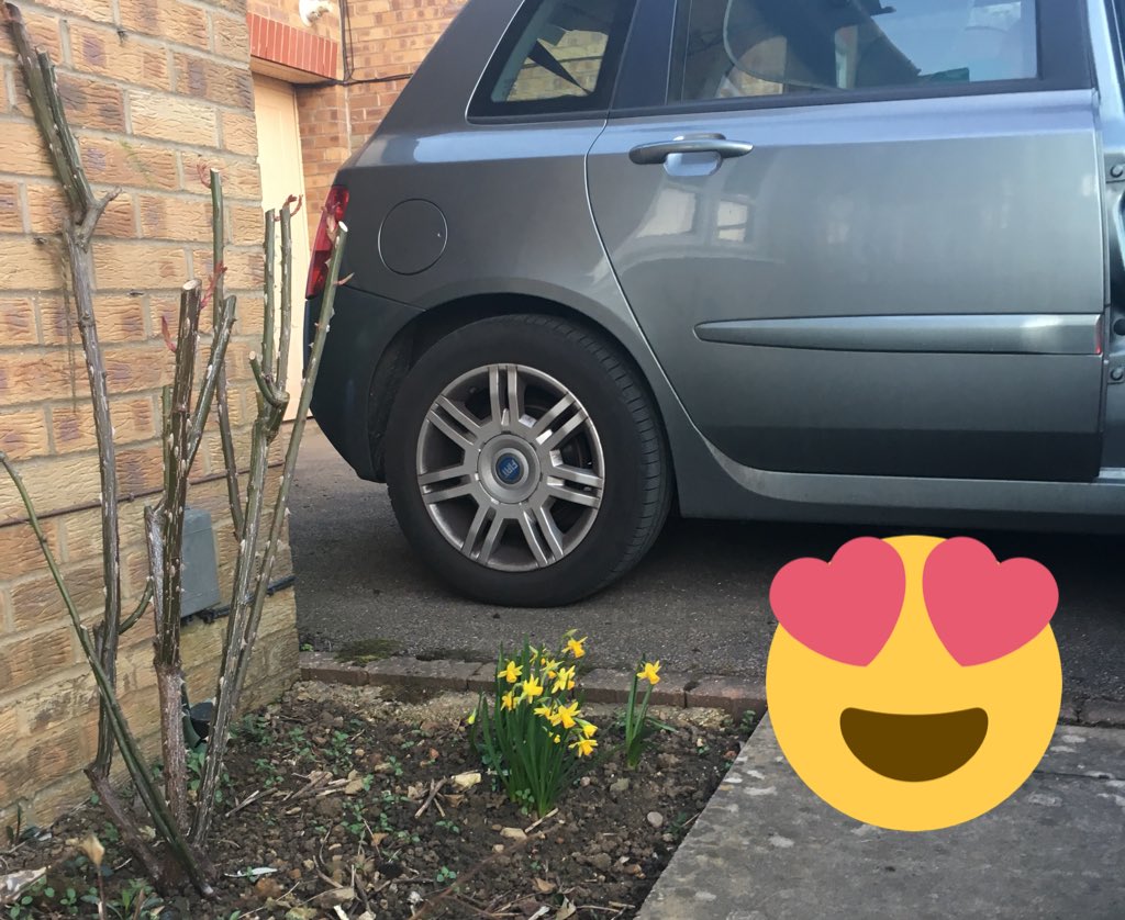 capuchinster's tweet photo. 2 things:
1) yay for #spring
2) these are bulbs that I brought home from some given to Granny in her care home a couple of years back. I think this is the first time they’ve bloomed again.
My mum & I have tonnes of spring flowers 💐 from those plants. #HelloGrandma https://t.co/knzSlTz9U0