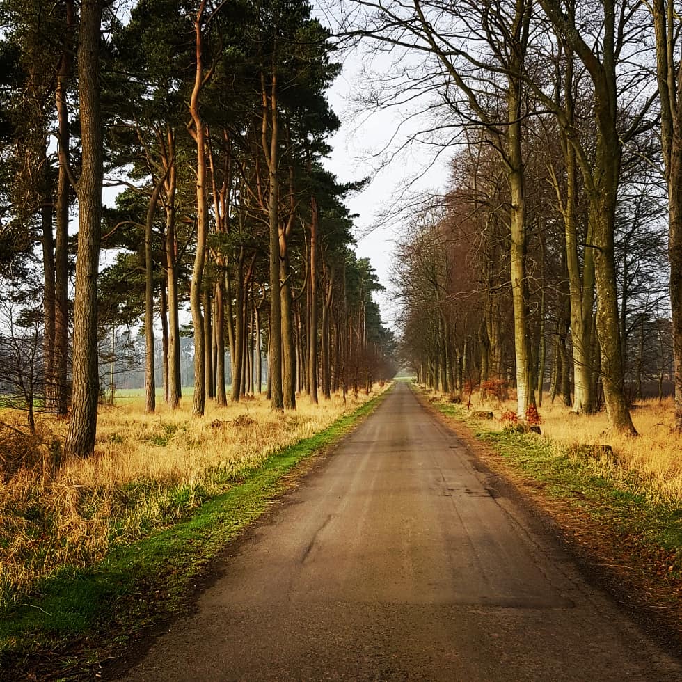 Hellocarnoustie's tweet photo. Carnoustie has so much to offer including beautiful places to walk your dogs, take a romantic stroll or a family day out followed by a stop off at one of the many (dog friendly) local cafe's, restaurants and pubs.
#Carnoustie
#Angus
#Scotland #DestinationTown https://t.co/ohoWrbcYYW