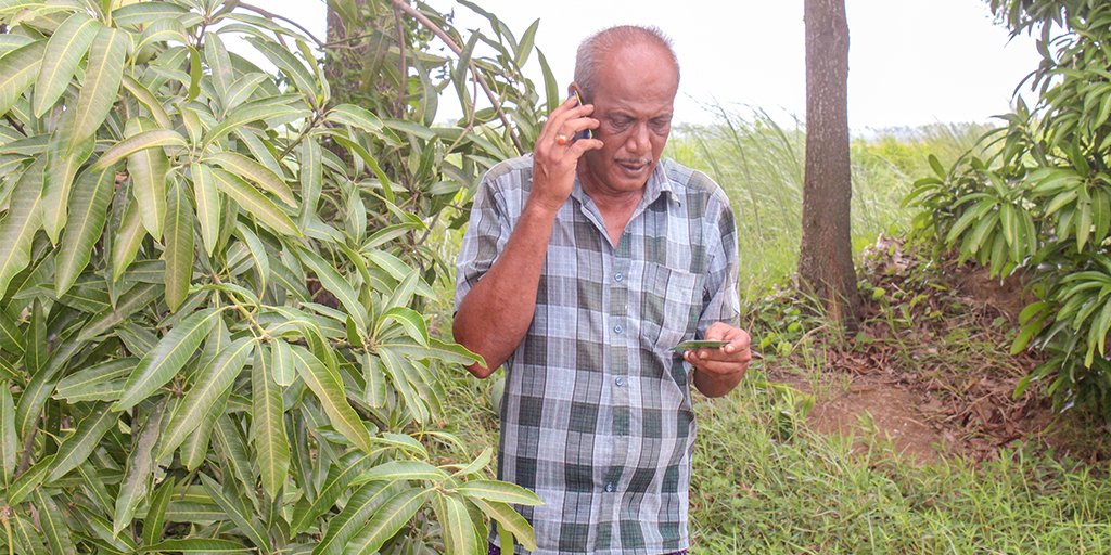 ril_foundation's tweet photo. #RF ‘s advisories via voice SMS and print media enabled innovative farmer Dilip Biswal from #Odisha to protect his 6 acre paddy crop from brown planthopper pest attack, and also save his fish pond from disease, helping him catch 4 quintals extra fish. #RFEnhancingLives https://t.co/Ubzqh23iXm