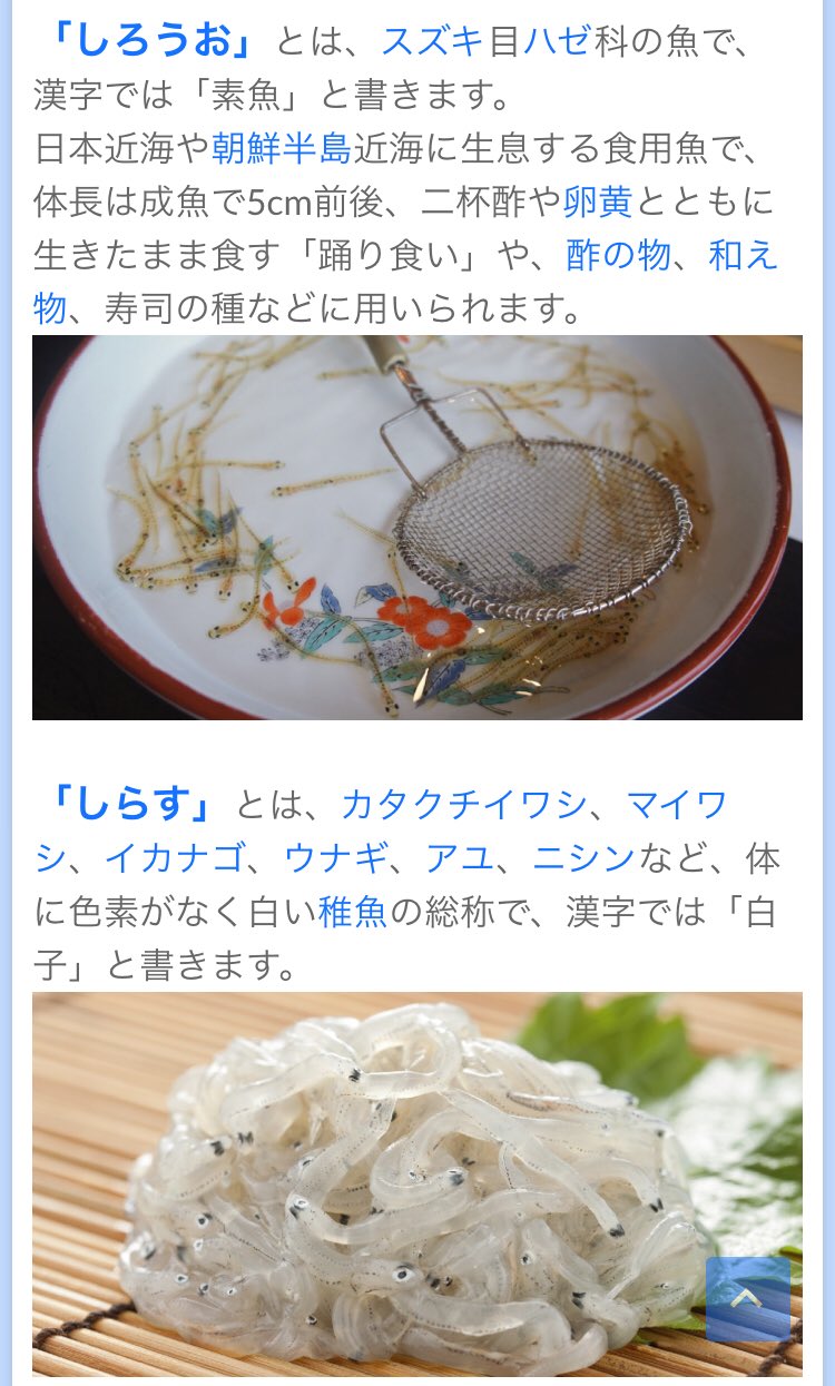蒸発 Nishi 118 N シロウオ丼 素魚丼 です シラス 白子 やシラウオ 白魚 とよく混同されますが 別種類のお魚です T Co Fep3amzlii Twitter