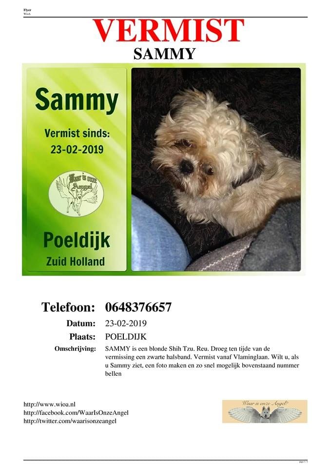 Webtek20's tweet image. Vermist vanuit Poeldijk