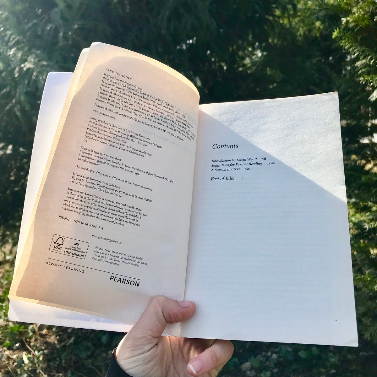 FSC_Spain's tweet photo. Desde el libro que estás leyendo hasta la caja que contiene tu té, asegurar que tus productos forestales provienen de bosques bien gestionados es una buena forma de hacer tu vida más #sostenible 🌳

Que tu bandera de guardián de árboles vuele alto este martes #TreehuggerTuesday https://t.co/bHuK0QGM8f